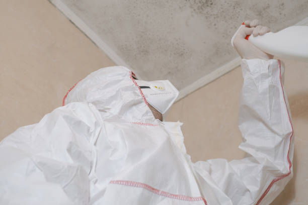 Best Certified Mold Removal  in Manheim, PA